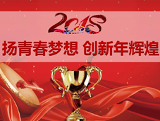 Flying youth dreams, creating brilliant of New year